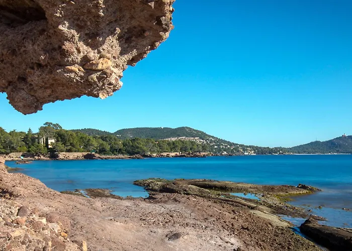 Climatise - A 50m - - Wifi Gratuit - Fr-1-466a-39 *